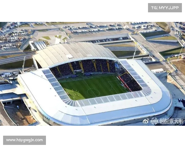意甲球队自建球场的未来发展趋势与挑战探讨